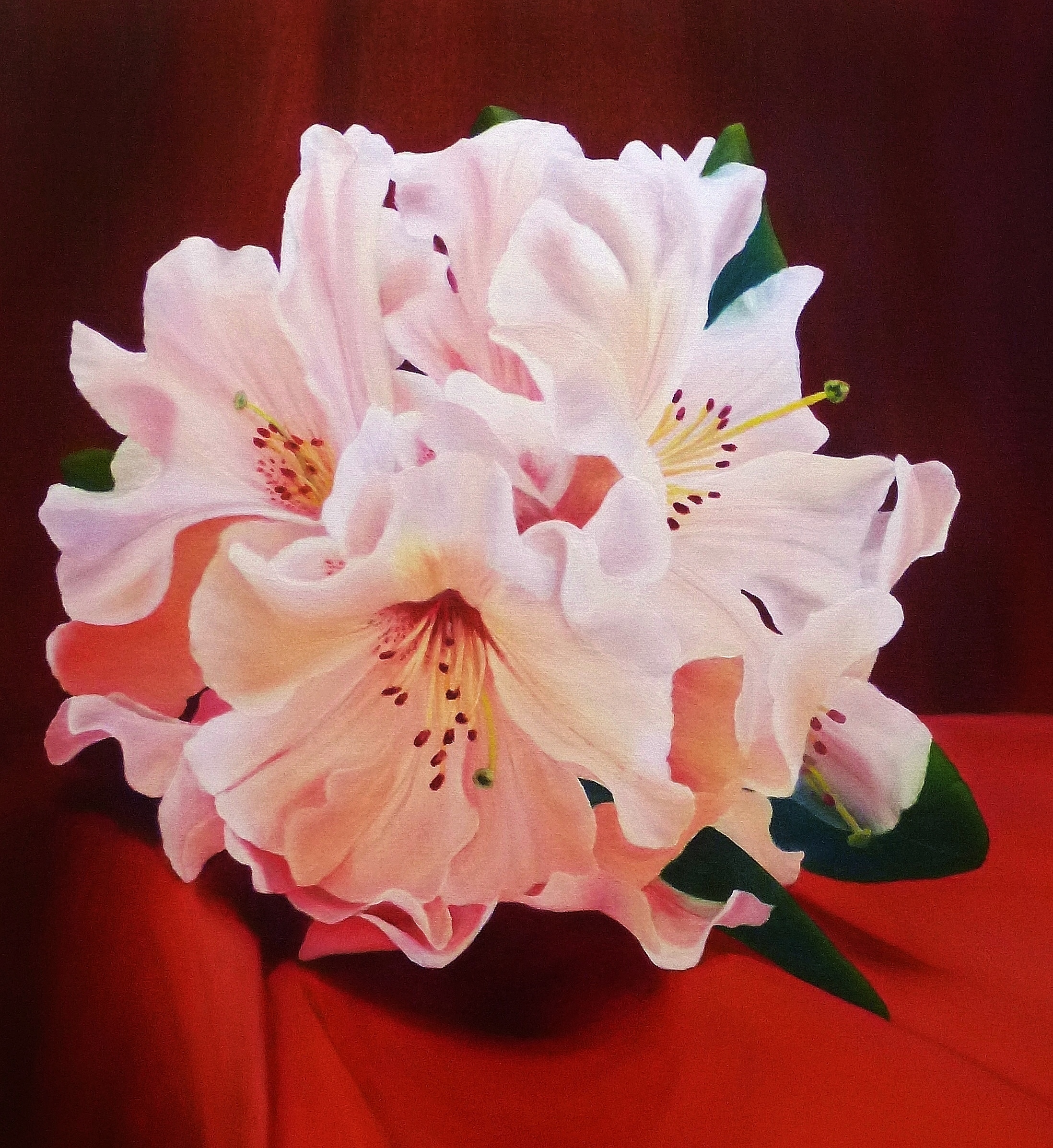Rhododendron, Clare Riddington Jones