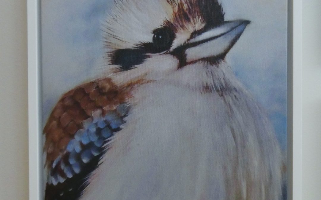 Kooka, framed reproduction print on canvas framed with white frame