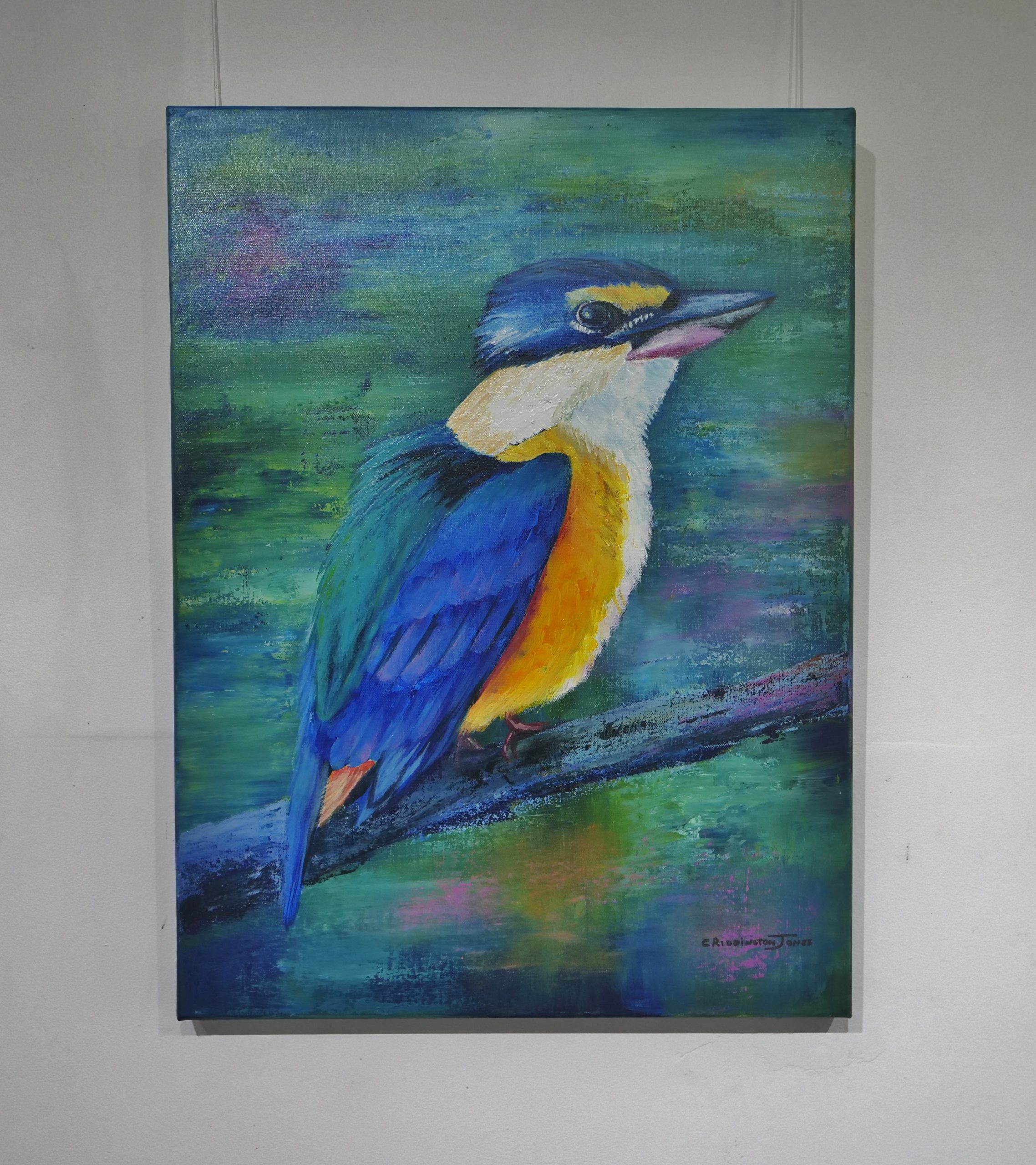 Sacred Kingfisher Painting by Clare Riddington Jones