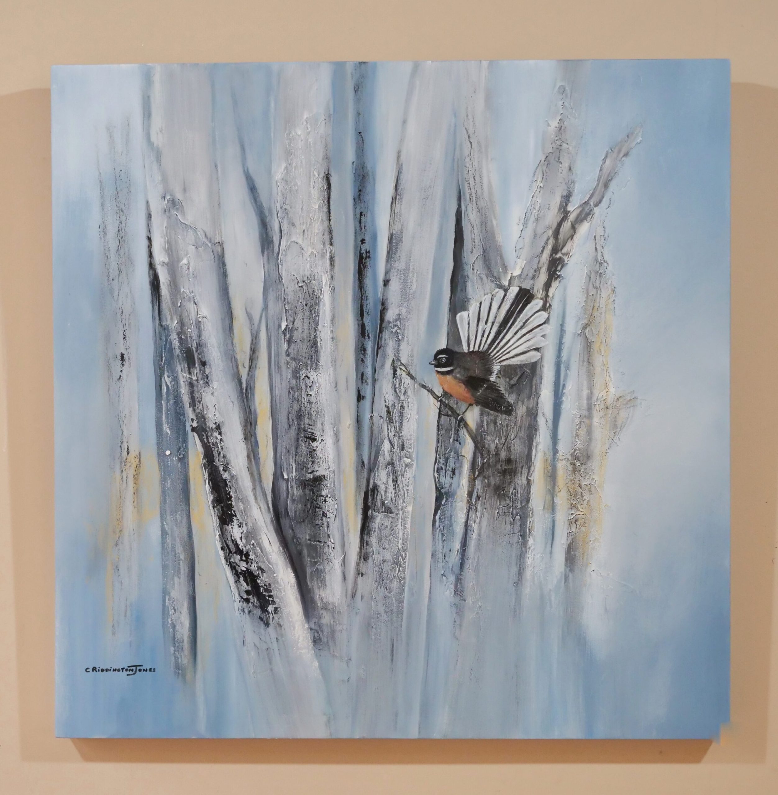 Forest Fantail by Clare Riddington JOnes