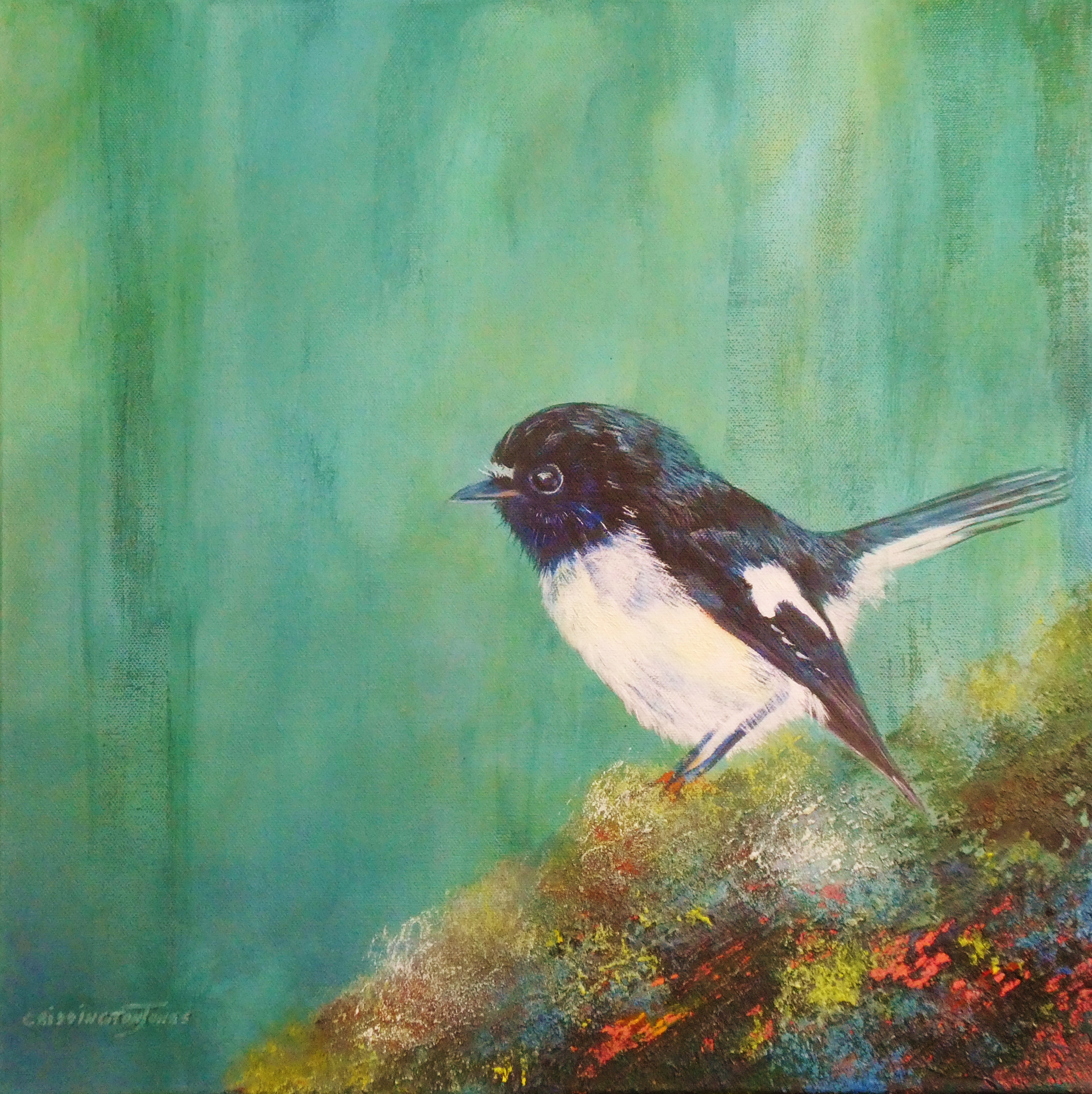 Painting of New Zealand native bird, Tom Tit by Clare Riddington Jones