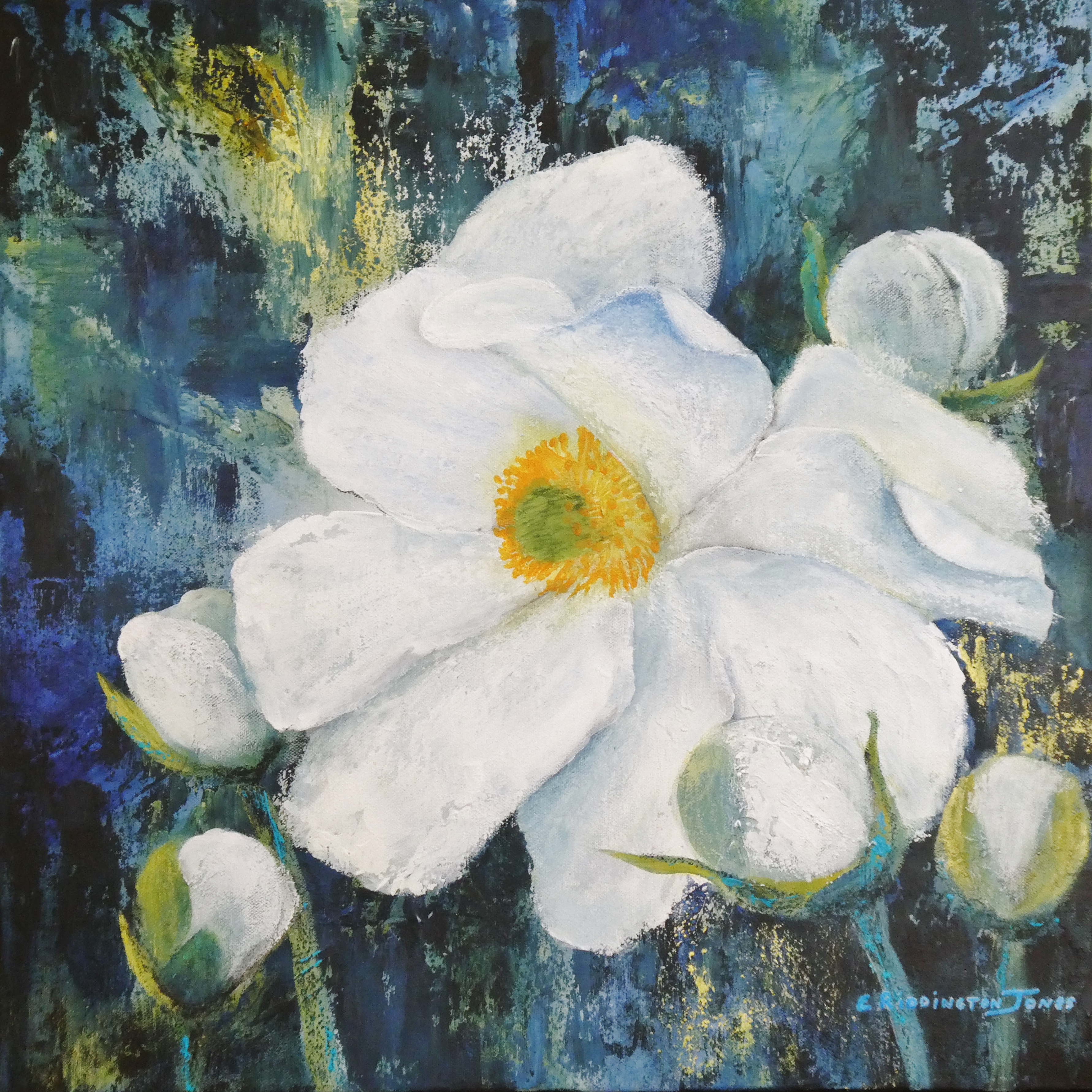 Textured painting of Mt Cook Lily by Clare Riddington Jones